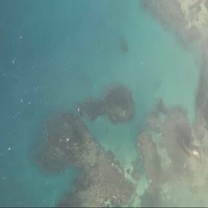 Meet your Posher, Madi